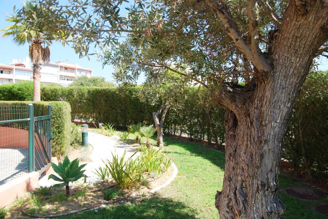 Beach Lounge Apartment Litoralmar بورتيماو المظهر الخارجي الصورة